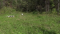 Voyeur with a hidden camera spies on a blonde with a gorgeous ass who is sunbathing in a clearing, takes off her panties and fingering her hairy cunt in nature.